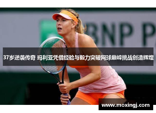 37岁逆袭传奇 玛利亚凭借经验与毅力突破网球巅峰挑战创造辉煌 37岁逆袭传奇 玛利亚凭借经验与毅力突破网球巅峰挑战创造辉煌