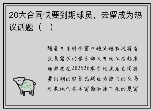 20大合同快要到期球员，去留成为热议话题（一）